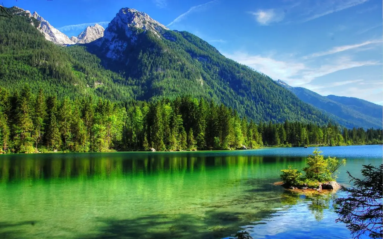 信息化智能